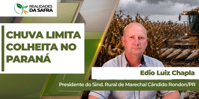 Chuva limita avanço da colheita do milho em Marechal Cândido Rondon/PR