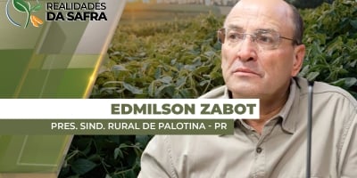 Palotina/PR esperava safra de soja de 75 sc/ha, mas projeção já foi reduzida para 60 sc/ha