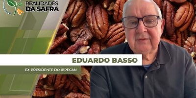 Safra brasileira de pecã se recompõe e pode alcançar 8 mil t, quase o dobro da anterior