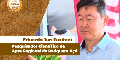 Regiões paulistas conquistam Indicação Geográfica para produção de banana e palmito pupunha
