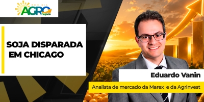 Soja dispara em Chicago com intensificação das guerras e atenção à demanda da China nos EUA