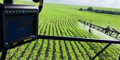 Bayer submete pedidos de registro para novo herbicida em quatro grandes mercados