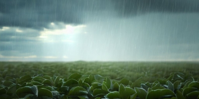 El Niño se fortalece e aumenta os desafios para o agronegócio brasileiro