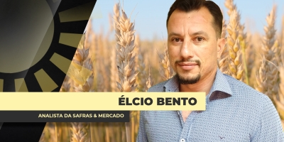 Trigo: Necessidade de importação Brasil pode superar 8 mi de t pela primeira vez na história