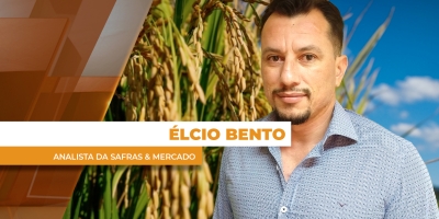 Trigo dispara mais de 4% em Chicago com possível aproximação da Rússia ao Irã; no BR, atenção aos fertilizantes encarecidos