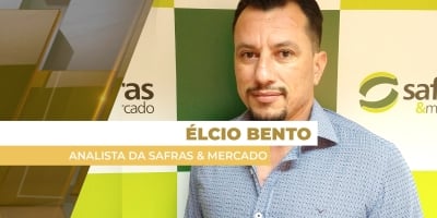 Recuperação dos preços do trigo é limitada pela grande oferta global de milho