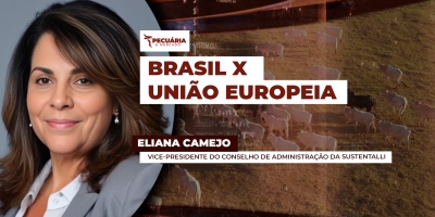 DEMANDA EM FOCO COM ELIANA