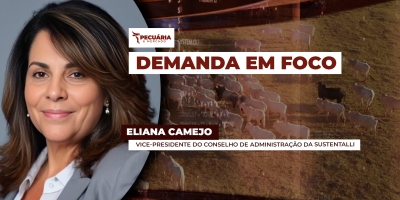 DEMANDA EM FOCO COM ELIANA