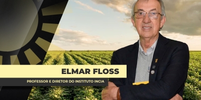 Safra 2026/27: Diversificação de ciclos entre as variedades e épocas de plantio reduz risco dos impactos do clima