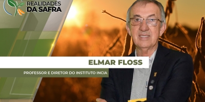 Últimas três semanas tiveram chuvas esparsas e lavouras de soja sofrendo no Rio Grande do Sul