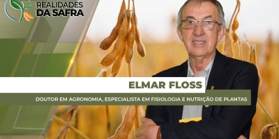 Rio Grande do Sul terá menor produtividade média na soja em todo Brasil