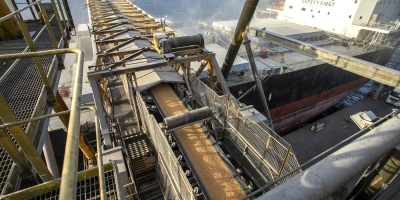 Agroconsult vê queda de 11% na exportação de milho do Brasil em 25/26