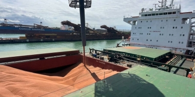 VLI inicia movimentação ferroviária de sorgo e realiza primeiros embarques do grão para a China e a África