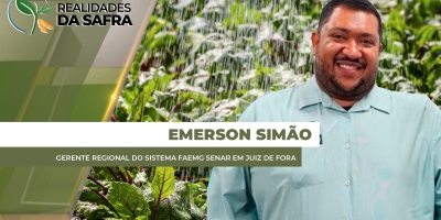 Chuvas na região de Juiz de Fora/MG afetaram produtores de hortifrutis e leite