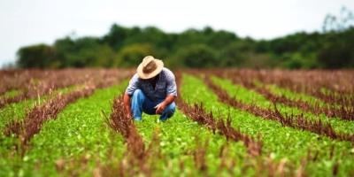 MP da dívida rural será editada nesta quarta, prevendo juros de até 12%, diz Durigan