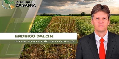 Potencial produtivo de milho, sorgo e gergelim foi comprometido pelo atraso da safra em Nova Xavantina/MT