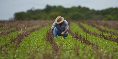 O papel do engenheiro agrônomo na realidade contemporânea, por Décio Luiz Gazzoni e Antônio Márcio Buainain