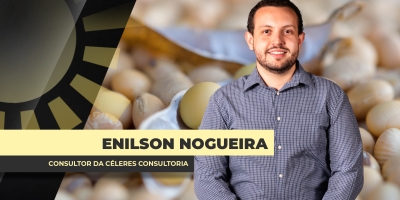 Retomada deve ser mais lenta no setor da soja, afirma consultoria