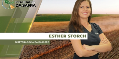 Paraguai deve fechar soja verão com 11 milhões de toneladas, mas enfrenta dificuldades na safrinha