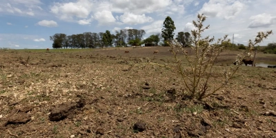 Estiagem avança na Paraíba e preocupa produtores rurais; seis municípios têm emergência reconhecida pelo Governo Federal
