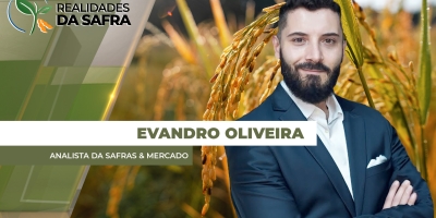 Arroz vive setor de transição no Brasil e área de produção no RS pode se consolidar abaixo de 900 mil ha diante de crise