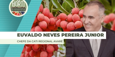 HORTI RESENHA #144 - Métodos de conservação e variedades tardias abrem novos mercados para a lichia