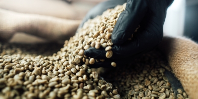 Entre perdas e cautela: café abre o dia pressionado e mantém produtor em compasso de espera