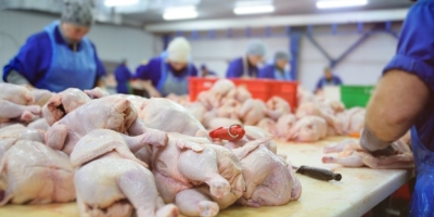 Brasil amplia mercados na África com abertura para proteína animal na Etiópia