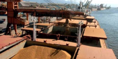 Consórcio CCGD vence leilão do canal de acesso ao porto de Paranaguá com lance de R$276 mi