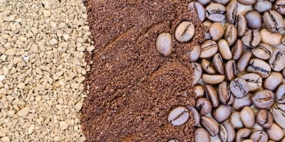 Mercado do café opera em alta com arábica acima de US$ 4 e robusta valorizado em Londres