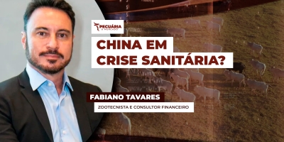 Problemas sanitários no rebanho chinês podem reverter cenário mais pessimista nas exportações e beneficiar Brasil