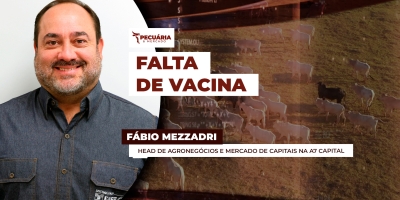 A falta de vacina para clostridioses preocupa pecuaristas no Brasil inteiro