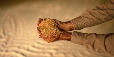 Holanda rejeita cargas de farelo de soja da Argentina por material genético não aprovado; BR em alerta