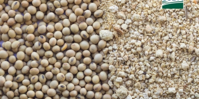 USDA informa nova venda de farelo às Filipinas nesta 6ª feira (5)
