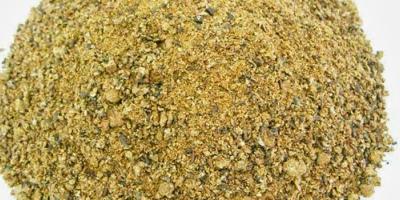 Farelo de algodão avança na nutrição animal, mas exige critério para não virar problema no campo