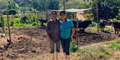 Casal transforma pequena propriedade em referência na produção leiteira em Açucena-MG
