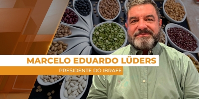 Pouca demanda limita vendas no mercado do feijão