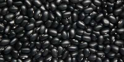 Feijão/Cepea: Maior oferta pressiona carioca; preto segue mais estável