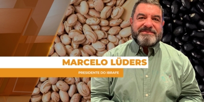 Primeira safra com área e produtividade menor deve trazer preço do feijão para cima no começo de 2026