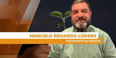 Mercado do feijão está estável, mas com perspectivas de melhores preços para os próximos meses
