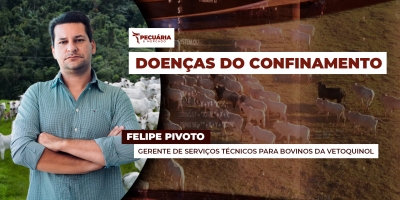 Especialista traz dicas para evitar a pododermatite, doença dos cascos, comum em confinamentos
