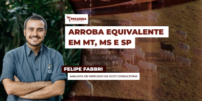 Arroba do boi segue firme com praças de MT e MS alcançando cotações de SP