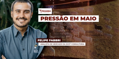 Oferta concentrada de animais pressiona arroba do boi e cenário fica mais complexo com fim das cotas chinesas