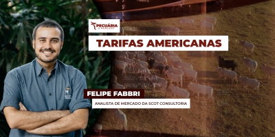 Frigoríficos antecipam impactos e ajustam estratégias diante da sobretaxa imposta pelo mercado norte-americano