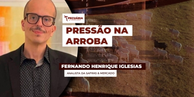 Arroba do boi sob pressão na B3 acende alerta para período delicado para os preços entre julho e setembro
