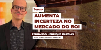 Novas notícias da China , dos EUA e da UE podem impactar preços da arroba do boi no curto prazo