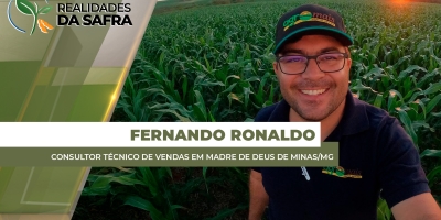 Madre de Deus de Minas/MG deve começar colheita da soja na próxima semana e do milho em meados de fevereiro