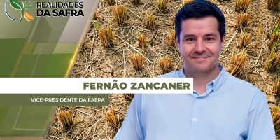 Invasão de terminal de grãos no Pará prejudica ainda mais a já frágil logística do Arco Norte