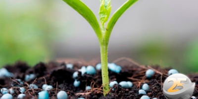 Setor de fertilizantes defende medidas urgentes para aliviar custos do produtor rural