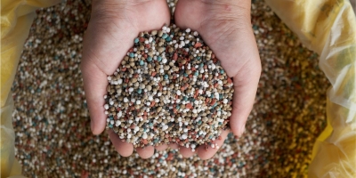 Crise global de fertilizantes se intensifica com novos cortes de oferta e avanço de conflitos